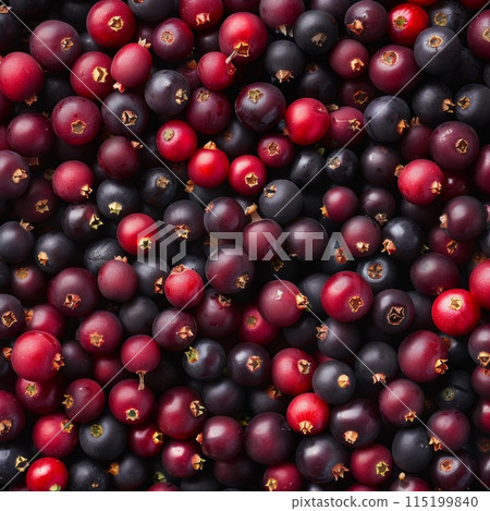 Amelanchier texture background, shadbush, shadwood or shadblow fruits pattern, many serviceberry 115199840