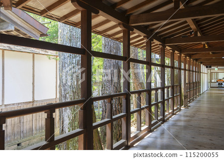 高野山金剛峰寺 - 通往本殿的迴廊 115200055