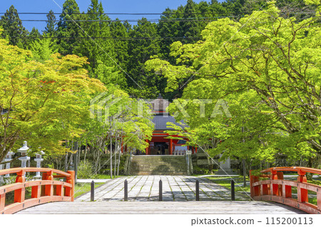 被藍色楓葉包圍的高野山奧之院英雄殿 115200113