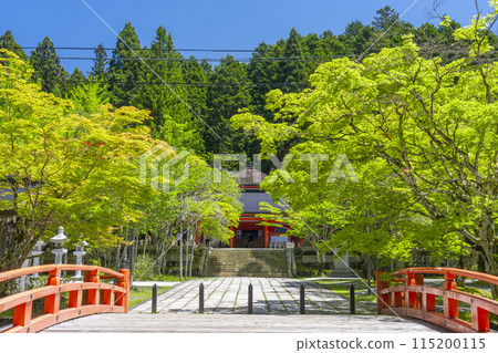 Koyasan Okunoin: The Hall of the Heroes surrounded by green maples 115200115