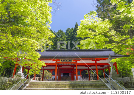 Koyasan Okunoin: The Hall of the Heroes surrounded by green maples 115200117