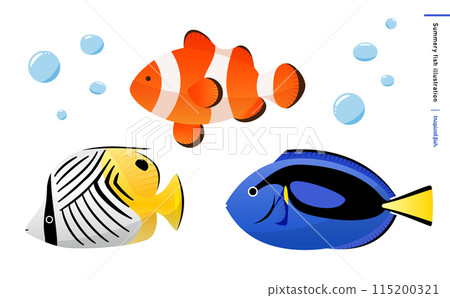現實的熱帶魚和鹹水魚插圖集小丑魚（小丑魚）、小丑魚和蝴蝶魚。 115200321