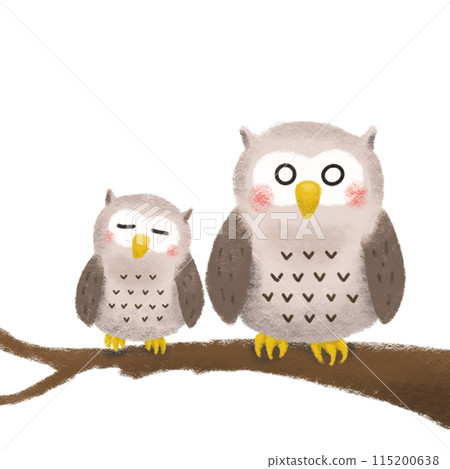 貓頭鷹的手繪插圖 115200638