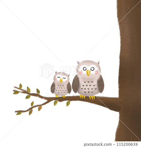 貓頭鷹的手繪插圖 115200639