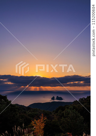 一棵被夕陽染紅的樹,背後的光芒 一棵被夕陽染紅的樹,背後的光芒 115200684