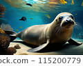 Sea lions swimming in the water 115200779