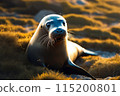 Spotted seal with eyes closed 115200801