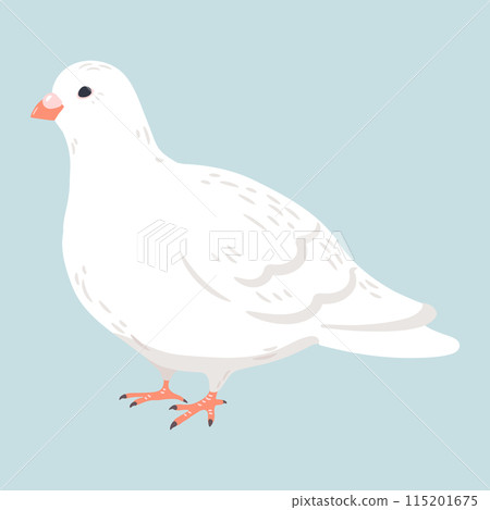 簡單可愛的白鴿手繪插畫，沒有主線 115201675