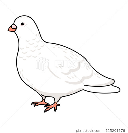 簡單可愛的手繪插畫，帶有主線的白鴿 115201676