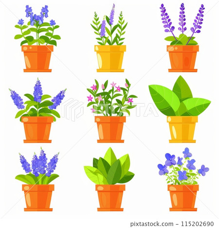 Plectranthus (spur-flower) Pot Plant Icon Set, Plectranthus Plant Flat Design, Abstract Spur-Flower Symbols 115202690