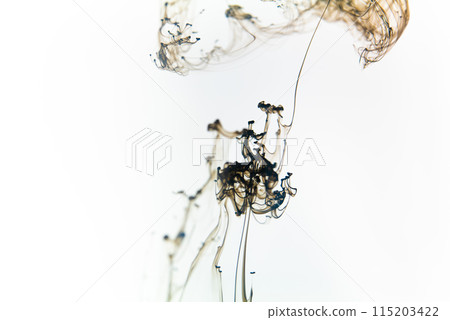 Black ink swirls forming delicate patterns as they diffuse elegantly through clear water, resembling an abstract ballet. Black ink swirls forming delicate patterns as they diffuse elegantly through clear water, resembling an abstract ballet. 115203422