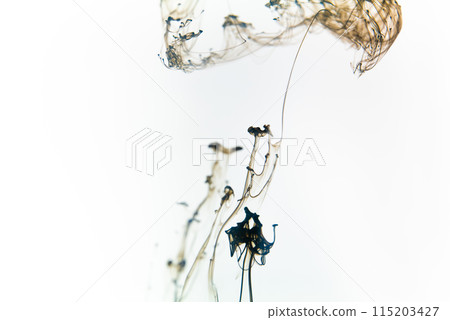 Black ink swirls forming delicate patterns as they diffuse elegantly through clear water, resembling an abstract ballet. 115203427