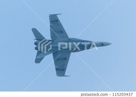 Spanish Air Force EF-18A Hornet Knife Edge 115203437