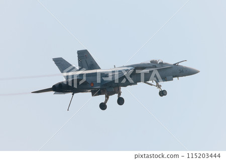 Spanish Air Force EF-18A Hornet hookdown 115203444