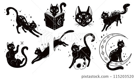 Magical mystic black cats. Vector set of whimsical feline animal silhouettes in playful poses. Kitten jump in hole, surrounded by stars, reading a book, perched on a crescent moon, standing on a skull Magical mystic black cats. Vector set of whimsical feline animal silhouettes in playful poses. Kitten jump in hole, surrounded by stars, reading a book, perched on a crescent moon, standing on a skull 115203520