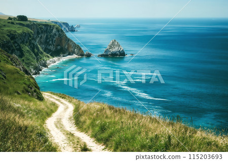 Serene coastal pathway overlooking the ocean Serene coastal pathway overlooking the ocean 115203693