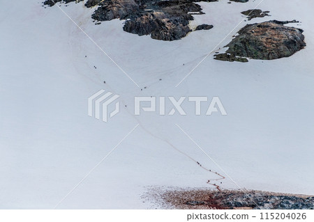 Landscape of the Antarctic Peninsula Landscape of the Antarctic Peninsula 115204026