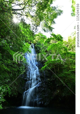 Fresh green moss waterfall 115204350