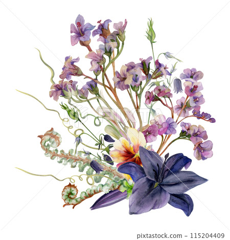 Hand drawn watercolor illustration botanical flowers leaves. Lily clivia amaryllis, bergenia heliotrope lungwort, pink lobelia jasmine, fern shoots tendrils. Bouquet isolated white. Wedding, cards Hand drawn watercolor illustration botanical flowers leaves. Lily clivia amaryllis, bergenia heliotrope lungwort, pink lobelia jasmine, fern shoots tendrils. Bouquet isolated white. Wedding, cards 115204409