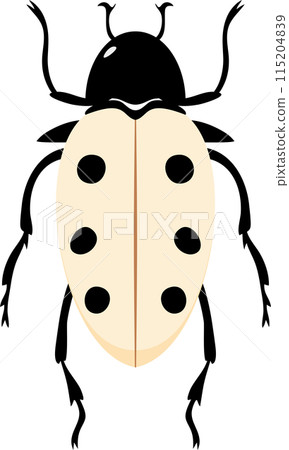 A bug with colorful color and beautiful pattern on its back wing. flat cartoon style. A bug with colorful color and beautiful pattern on its back wing. flat cartoon style. 115204839