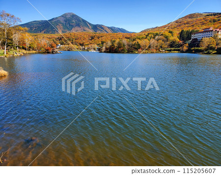 Lake Shirakaba and Mt. Tateshina Autumn foliage Lake Shirakaba and Mt. Tateshina Autumn foliage 115205607
