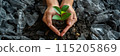 Environmental day concept. Hands protect seadling plant or sprout from plastic bottles, rubbish and garbage. Environmental day banner or background 115205869