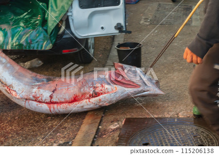 The process of unloading freshly caught fish of the genus Sailfish, whose long sword was broken for placement in the car. Sale of seafood and use of natural resources The process of unloading freshly caught fish of the genus Sailfish, whose long sword was broken for placement in the car. Sale of seafood and use of natural resources 115206138
