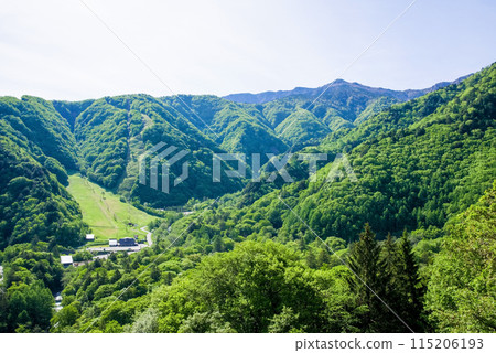 【新綠平湯溫泉】從R158平湯隧道東口附近的平湯峠眺望 115206193