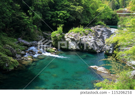Kameiwa Rocks on the Asemi River in the season of fresh greenery (Motoyama Town, Kochi Prefecture) 115206258