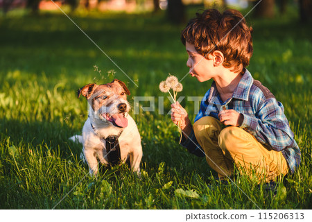 Naughty kid boy making bad joke blowing dandelions at dog Naughty kid boy making bad joke blowing dandelions at dog 115206313