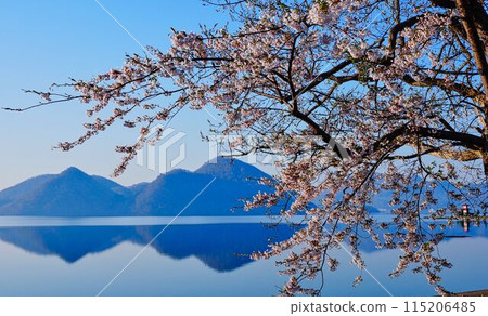 Spring in Toya 115206485