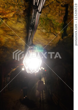 Light bulb in the cave Light bulb in the cave 115206519