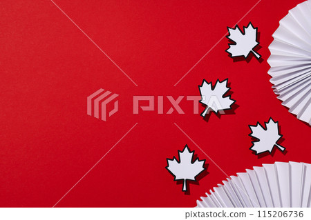 Decorative maple leaves with decorations on a red background 115206736