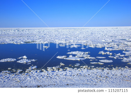 Sea of drift ice seen from Ikushina Wildflower Garden 115207115