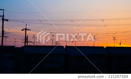 A sunset A sunset 115207389
