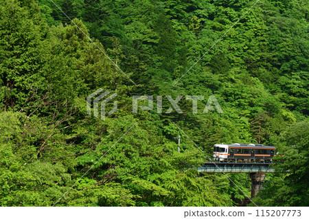 火車沿著青山綠水行駛 115207773