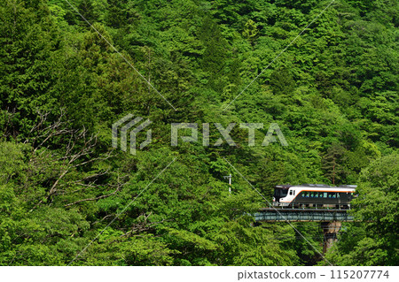 HC85系列特快「飛驒號」沿著清新的青山行駛 115207774