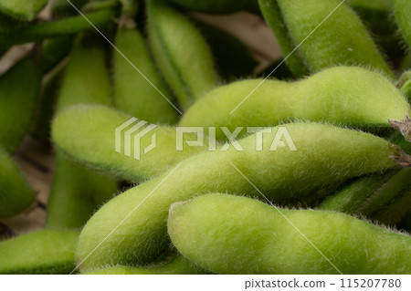 Edamame close-up background 115207780