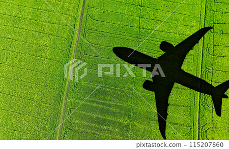 Shadow airplane flying above green field. Sustainable fuel. Biofuel in aviation. Sustainable transportation and eco-friendly flight with biofuel use. Aviation sustainability. Biofuel in air travel. 115207860