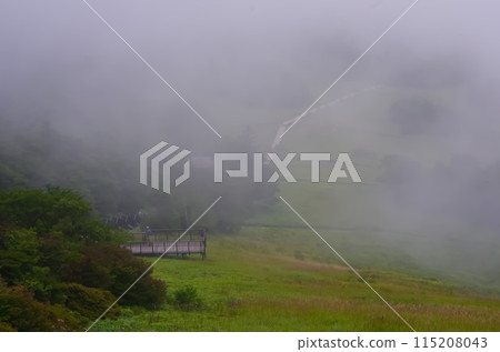 Kirifuri Plateau: A plateau shrouded in mist 115208043