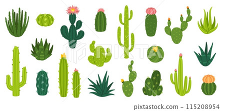 Cactuses. Desert plant, Mexican cacti flower, aloe, succulent. Cartoon decorative gardening cactus, home plants, summer Mexico nature plants. Vector flat set 115208954