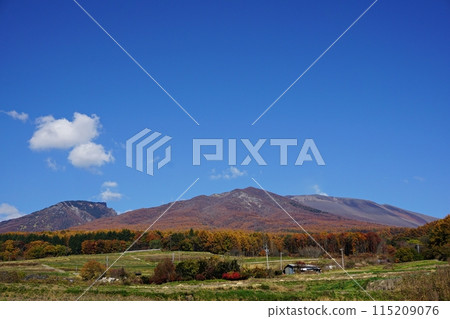 紅葉季節的三代田町和淺間山的田園風光 115209076