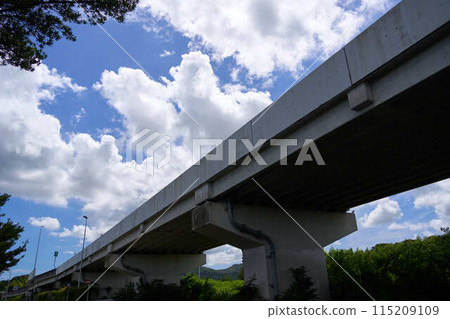 Summer sky above the elevated road 115209109