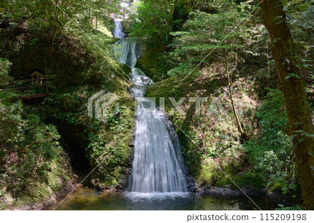 [Shinjo] The Seven Waterfalls of Atera seen in spring 115209198