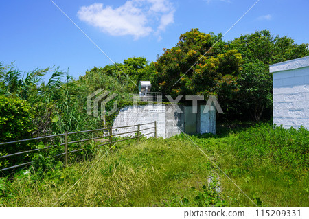 Shionomisaki Rice Grain Rock Illumination Lamp 115209331