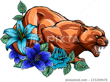 draw colorful feline cougar. vector illustration design draw colorful feline cougar. vector illustration design 115209478