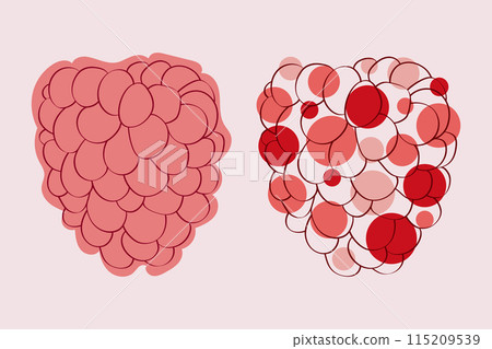 A simple line drawing of two raspberries, one with solid red coloring and another with red and white dots. 115209539