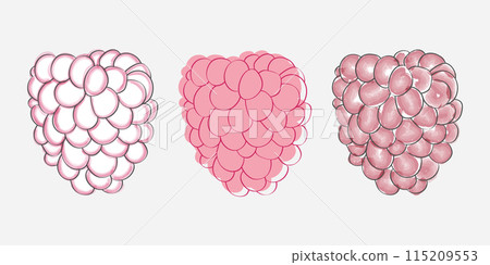 An illustration depicting three stages of a raspberry, from outline to shading to full color. An illustration depicting three stages of a raspberry, from outline to shading to full color. 115209553
