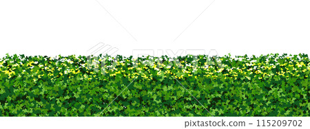 Top of green hedge with white flowers as a seamless endless pattern Top of green hedge with white flowers as a seamless endless pattern 115209702