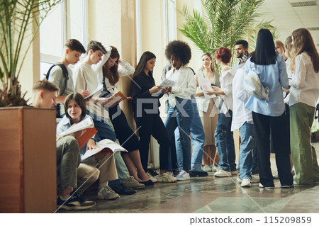 Group of multiracial people, boys and girls standing in university hall and preparing for upcoming exam or lesson. Reading notes 115209859